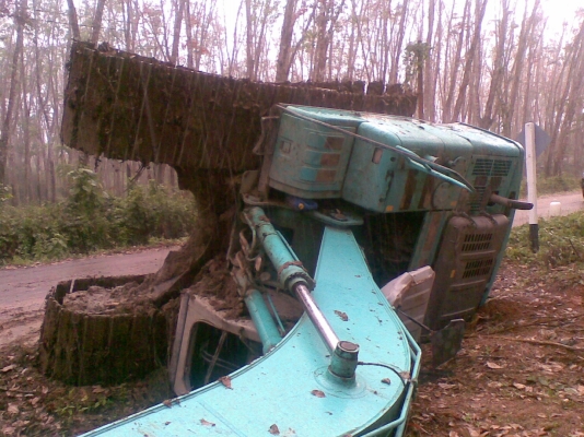 ให้ดูเล่น ๆๆๆๆๆๆๆๆๆๆๆๆ ให้ดูเล่น ๆๆๆๆๆๆๆๆๆๆๆๆ