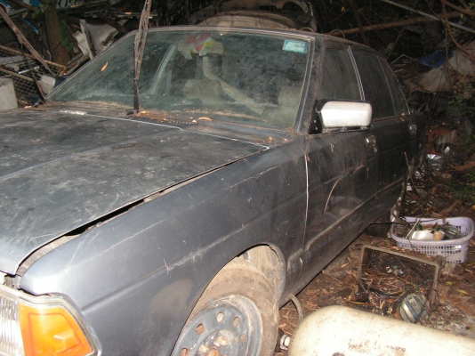 นิสสันบลูเบริด(พี่คนชื่อชายรับไปดูเเลต่อแล้วครับ)