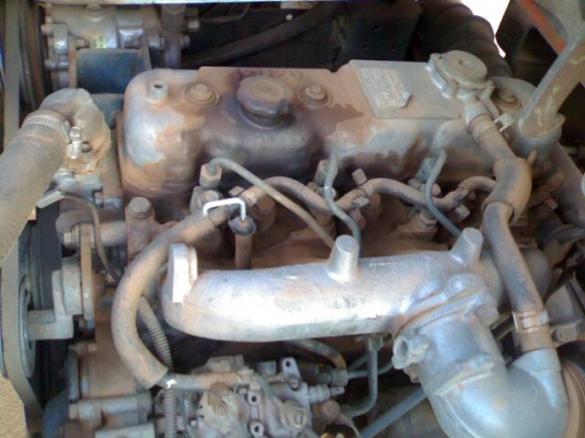 à¹€à¸­à¸¥à¸›à¹Œ 88 à¸«à¸±à¸§à¸›à¸´à¹Šà¸š à¸£à¸–à¸¢à¸à¸£à¸–