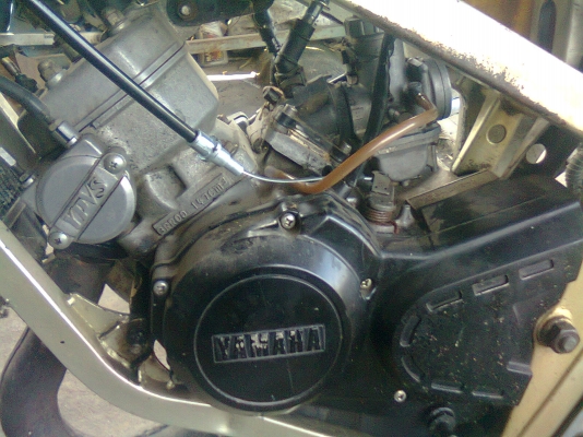 à¸‚à¸²à¸¢TZRR