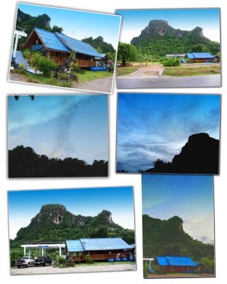 ขาย ที่ดินพร้อมบ้าน เนื้อที่ประมาณ 2 ไร่  จังหวัดเพชรบุรี