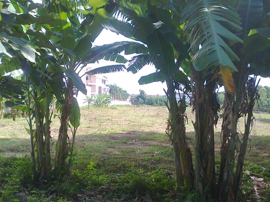 ขายด่วน!..ที่ดินเปล่า ข้างโรงแรม ลำปางเวียงทอง 10-0-15 ไร่.