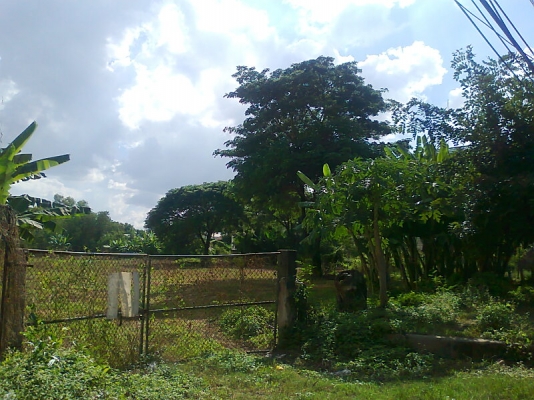 ขายด่วน!..ที่ดินเปล่า ข้างโรงแรม ลำปางเวียงทอง 10-0-15 ไร่.