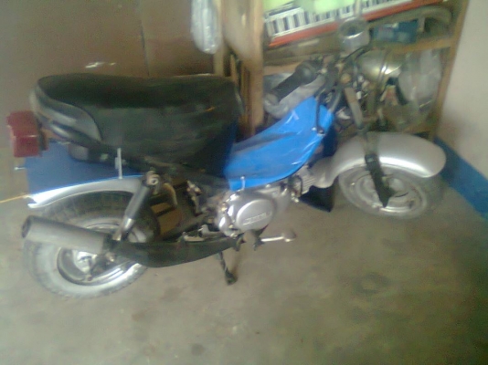 ขายชิปปี้