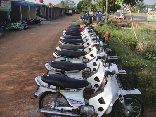 ขายฮอนด้าดรีม คุรุสภาสีำน้ำตาล , สีดำ 13,000  สภาพสวยพร้อมใช้งาน (ทะเบียนพร้อมชุดโอน )