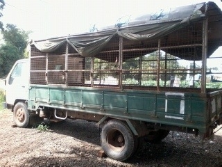 ขาย 6ล้อ TOYOTA DYNA รถเบียรช้าง สถาพสวยพร้อมใช้งาน ปี39