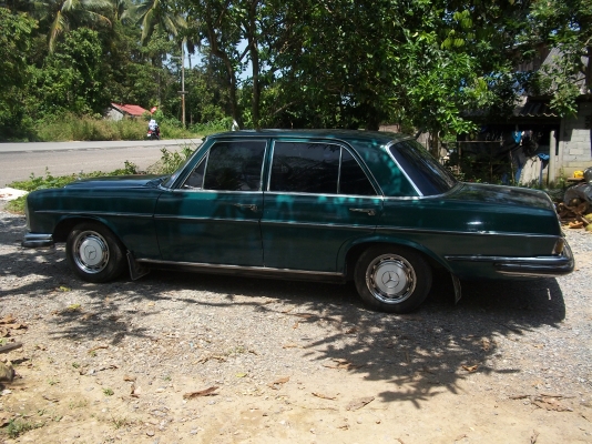 ขายรถเบนซ์W108/250Sคลาสิคทะเบียนไม่ขาด รถพร้อมโอน ขายรถเบนซ์W108/250Sคลาสิคทะเบียนไม่ขาด รถพร้อมโอน