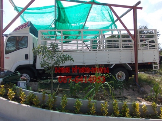 ISUZU FRR 190แรง ปี54 ยาว5เมตร50 สภาพ98\% รถซื้อมาจอด ไม่ค่อยได้ใช้งาน แต่งความเทห์เกือบ3แสนให้เรียบร้อย