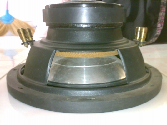 ขายลำโพง 10 นิ้ว 1000 w  วอยล์คู่ มีดอกเดียวถูกๆ