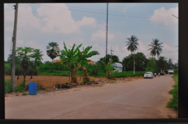 ขายถูก ถึงวันที่  11 พค 56 นี้ ที่ดินเนื้อที่ 21 ไร่ 29 ตารางวา อยู่ห่างจากตลาด อ.บ่อทอง เพียง 800 ม.