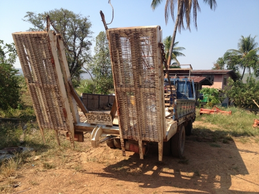 Kubotaรถเกี่ยวDC-68Gพร้อมเทเลอร์bu87สวยอยากขายคู่แถมหัวเกี่ยวถั่วด้วย