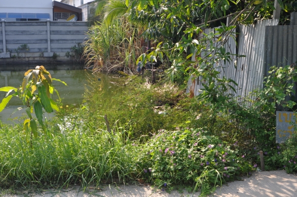 ขายด่วน ที่ดินเปล่า เนื้อที่ 76 ตร.วา ในซอยสุขสวัสดิ์ 78 เขตพระประแดง