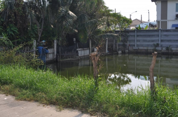 ขายด่วน ที่ดินเปล่า เนื้อที่ 76 ตร.วา ในซอยสุขสวัสดิ์ 78 เขตพระประแดง