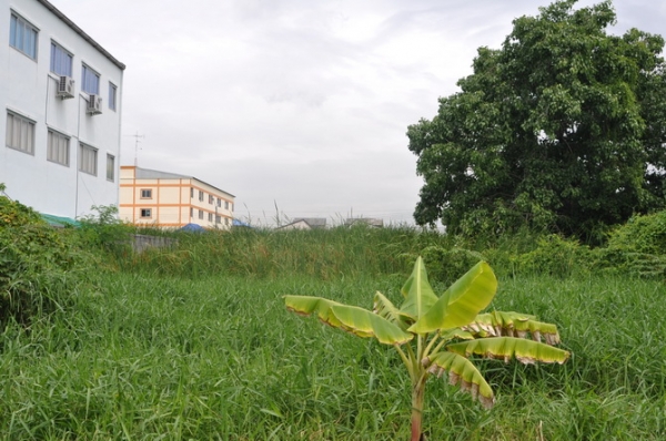 ขายลดราคาถูก ที่ดินเนื้อที่ 359.7 ตารางวา เข้าซอยจากถนนเฉลิมพระเกียรติ ร.9 ซอย 28 เพียง 2.2 กม. ใกล้ ม.ราม 2 เพียง 700 ม.