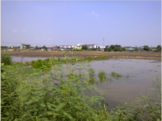 ขายที่ดิน ถนนเพิ่มสินวัชรพล ติดถนนใหญ่