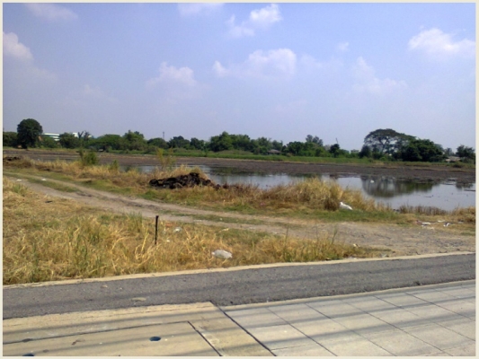 ขายที่ดิน ถนนเพิ่มสินวัชรพล ติดถนนใหญ่