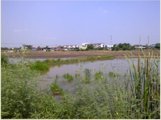 ขายที่ดิน ถนนเพิ่มสินวัชรพล ติดถนนใหญ่