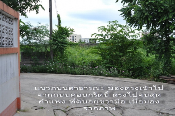 ขายถูกที่สุด ที่ดิน 58 ตร.วา ถนนเพชรเกษม 126 เข้าซอยเพียง 300 เมตร และ ใกล้ รพ.มหาชัย 2 และ ตลาดอ้อมน้อย เพียง 450 เมตร