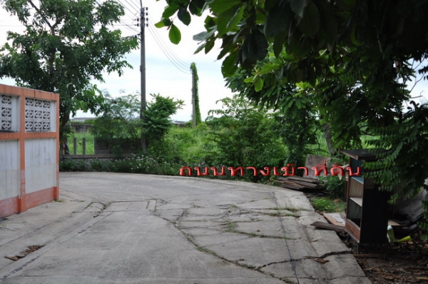 ขายถูกที่สุด ที่ดิน 58 ตร.วา ถนนเพชรเกษม 126 เข้าซอยเพียง 300 เมตร และ ใกล้ รพ.มหาชัย 2 และ ตลาดอ้อมน้อย เพียง 450 เมตร