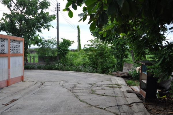 ขายถูกที่สุด ที่ดิน 58 ตร.วา ถนนเพชรเกษม 126 เข้าซอยเพียง 300 เมตร และ ใกล้ รพ.มหาชัย 2 และ ตลาดอ้อมน้อย เพียง 450 เมตร