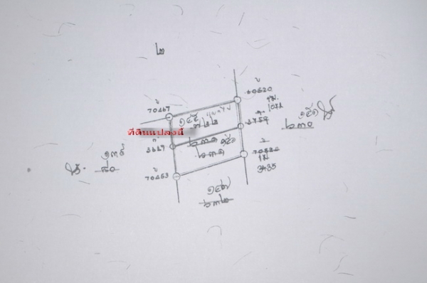 ขายถูกที่สุด ที่ดิน 58 ตร.วา ถนนเพชรเกษม 126 เข้าซอยเพียง 300 เมตร และ ใกล้ รพ.มหาชัย 2 และ ตลาดอ้อมน้อย เพียง 450 เมตร