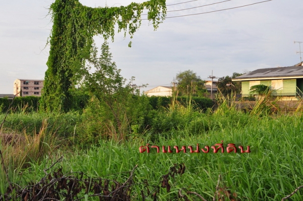 ขายถูกที่สุด ที่ดิน 58 ตร.วา ถนนเพชรเกษม 126 เข้าซอยเพียง 300 เมตร และ ใกล้ รพ.มหาชัย 2 และ ตลาดอ้อมน้อย เพียง 450 เมตร