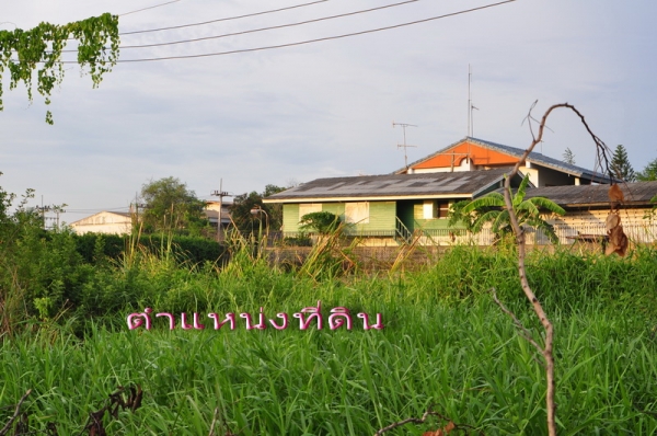 ขายถูกที่สุด ที่ดิน 58 ตร.วา ถนนเพชรเกษม 126 เข้าซอยเพียง 300 เมตร และ ใกล้ รพ.มหาชัย 2 และ ตลาดอ้อมน้อย เพียง 450 เมตร