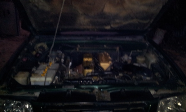 ขาย TFR ใส่ตัว ดราก้อน อาย ทั้งตัว  สวยมาก