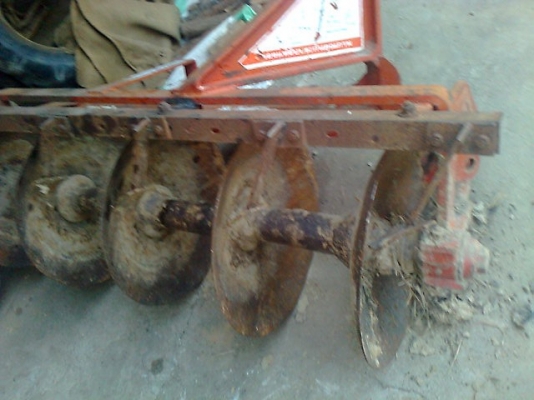 ขายด่วนผานพรวน 5 ใบ บัว 12 คับ