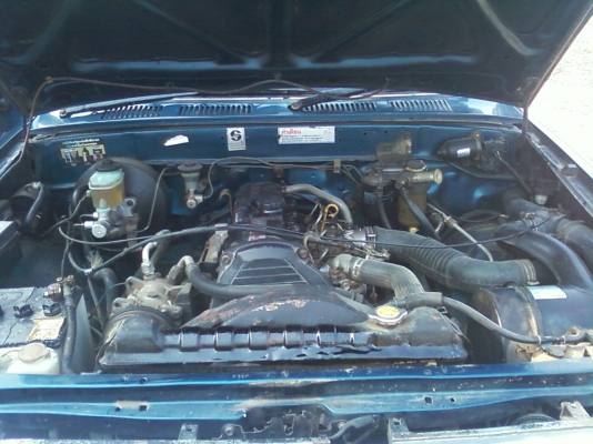 ไมตี้ แคป โปร่งหน้าหลัง ปี 97 อยู่สารคาม ไมตี้ แคป โปร่งหน้าหลัง ปี 97 อยู่สารคาม