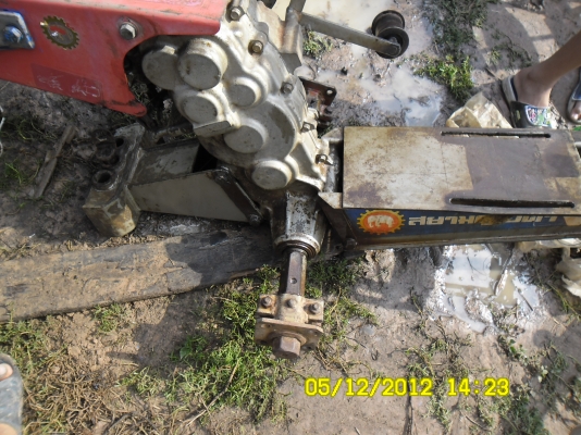 หางสยามNC131