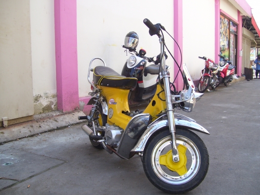 หาเนื้อคู่