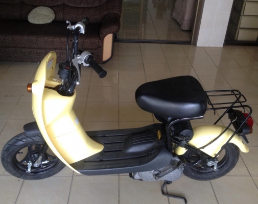 .......Suzuki Choi Nori ......... .......Suzuki Choi Nori .........