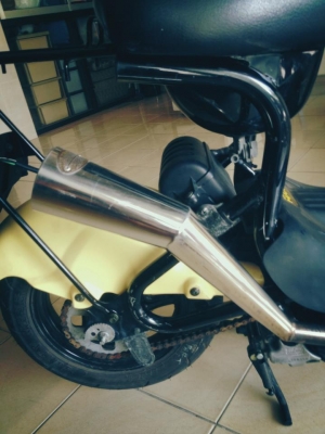 .......Suzuki Choi Nori ......... .......Suzuki Choi Nori .........