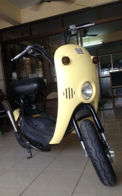 .......Suzuki  Choi Nori .........