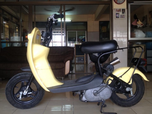 .......Suzuki Choi Nori ......... .......Suzuki Choi Nori .........