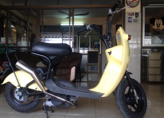 .......Suzuki Choi Nori ......... .......Suzuki Choi Nori .........