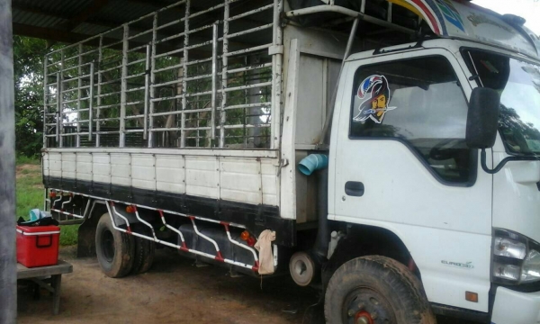Isuzu NQR 212 แรงม้า ปี52 กะบะยาว 5.8ม. พร้อมหลังคาอย่างงาม