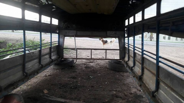 หลังคารถ 2 แถว สภาพสวย