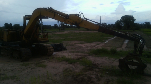 ขายรถแบ็คโฮ  คีบไม้