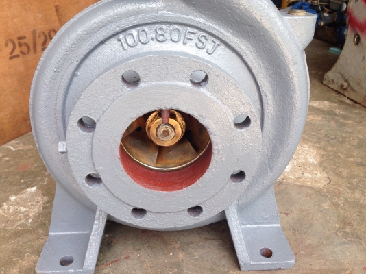 ขายหัวปั้มน้ำหอยโข่ง Ebara 100x80fsj ใบพัดทองเหลือง ขนาดเข้า 4นิ้ว ออก 3นิ้ว สภาพสวย หมุนนิ่ม พร้อมใช้งาน