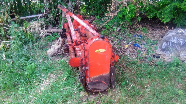 ตราช้างใบเต็มๆเจ้าค้าาา