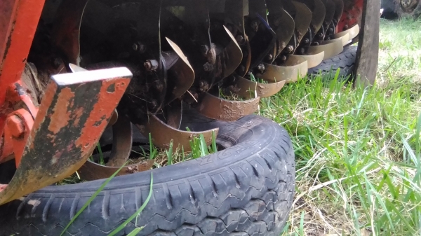 ตราช้างใบเต็มๆเจ้าค้าาา