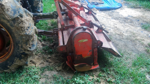 ตราช้างใบเต็มๆเจ้าค้าาา