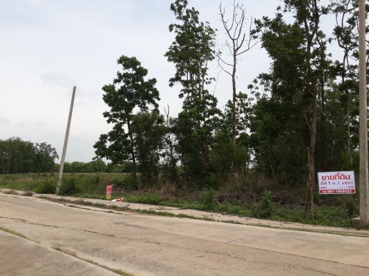 ดินสวยๆ แถวโพรงอากาศ ดินสวยๆ แถวโพรงอากาศ