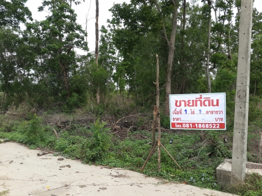 ดินสวยๆ แถวโพรงอากาศ ดินสวยๆ แถวโพรงอากาศ