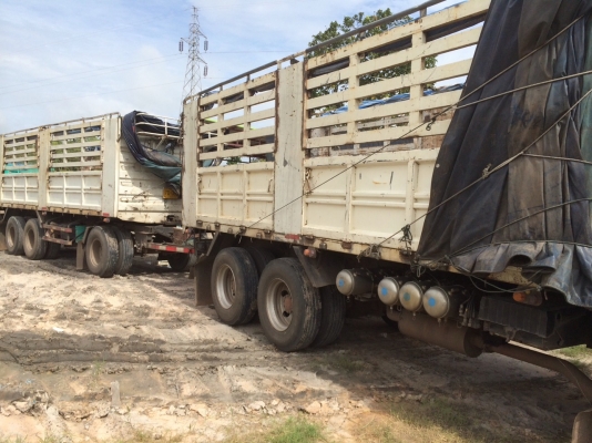 ขายครับ 360 ปี54 แม่ลูกไม่ดั้ม สามมิตร