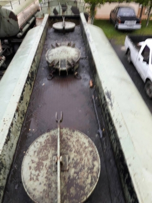 รถอีซูซุ 10 ล้อ บรรรทุกน้ำมัน / เปลื่ยนเครื่อง 230 แรงม้า. ปี 39.  ( ขาย แม่ , ลูก. )  ,  ( มี ขาย 2 คัน. )      สนใจติดต่อ  081 - 6079515