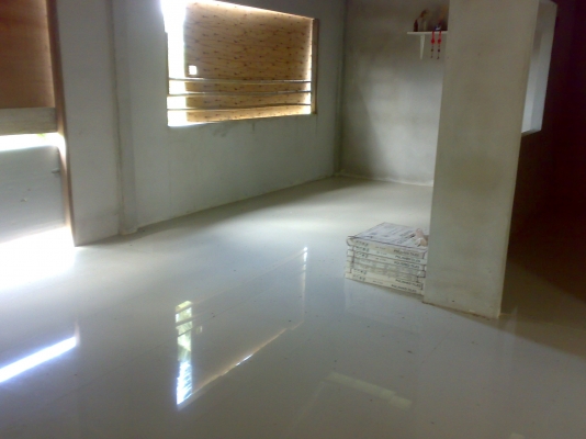 ที่ดินพร้อม บ้าน 2งาน 56 ตารางวา