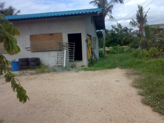 ที่ดินพร้อม บ้าน 2งาน 56 ตารางวา